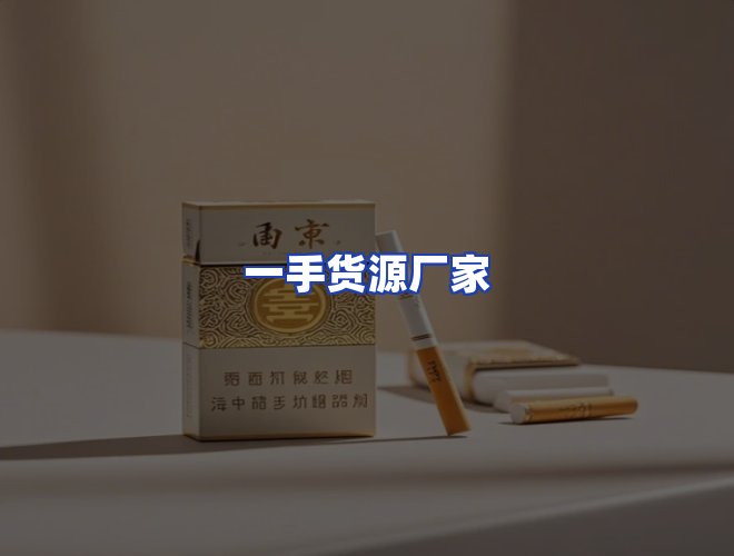 专业团队